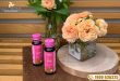 Nước Uống Đông Trùng Hạ Thảo Hector Collagen - sản phẩm tuyệt vời cho những đối tượng đang cần chăm sóc da