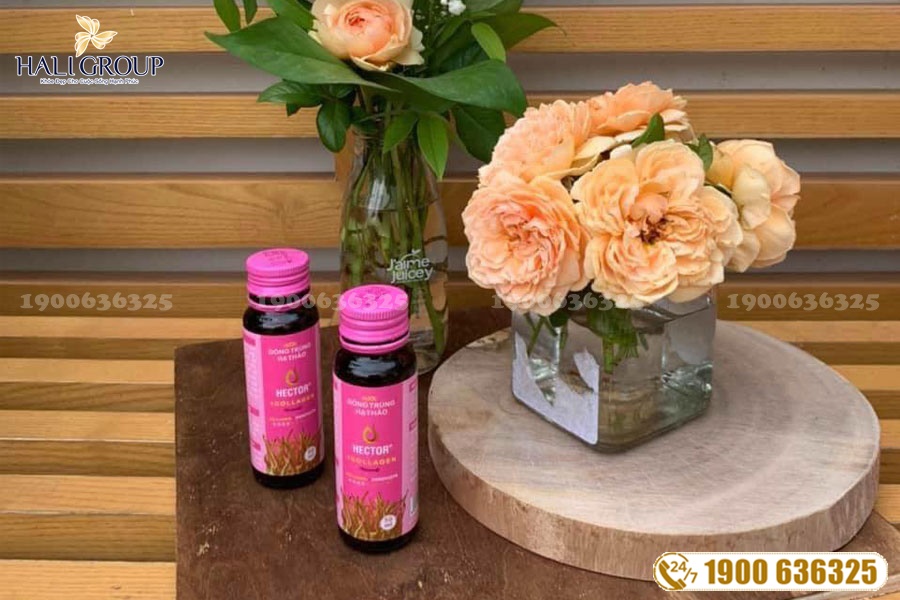 Nước Uống Đông Trùng Hạ Thảo Hector Collagen - sản phẩm tuyệt vời cho những đối tượng đang cần chăm sóc da